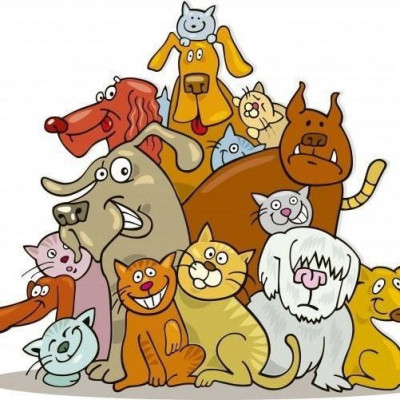 Cane Haven Rescue - Pet Shelter and Rescue in Jefferson, Louisiana