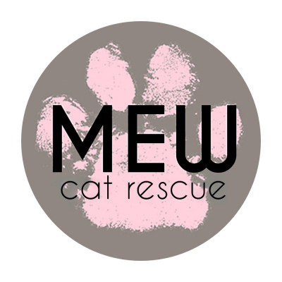 Mew Cat Rescue - Pet Shelter and Rescue in Bentonville, Arkansas