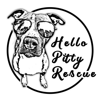 Hello Pitty Rescue - Pet Shelter and Rescue in Tacoma, Washington
