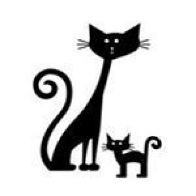 Meow Cat Rescue WV - Pet Shelter and Rescue in Charleston, West Virginia