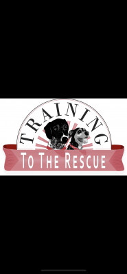 Training To The Rescue - Pet Shelter and Rescue in Berkeley Lake, Georgia