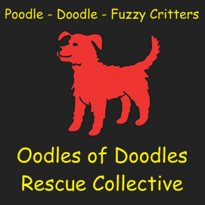 Oodles Of Doodles Rescue Collective - Pet Shelter and Rescue in Jackson Township, New Jersey