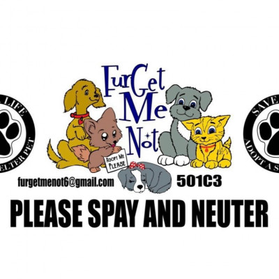 FurGet Me Not - Pet Shelter and Rescue in Paris, Arkansas
