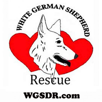 White German Shepherd Rescue - Pet Shelter and Rescue in Phoenix, Arizona
