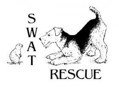 Airedale Terrier Rescue (Southwest US) - Pet Shelter and Rescue in Peoria, Arizona