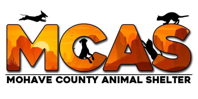 Mohave County Animal Shelter - Pet Shelter and Rescue in Kingman, Arizona