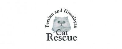 Persian And Himalayan Cat Rescue - Pet Shelter and Rescue in San Francisco, California