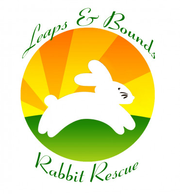 Leaps & Bounds Rabbit Rescue, Inc. - Pet Shelter and Rescue in Roseville, California