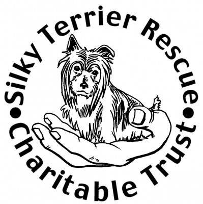Silky Terrier Rescue Charitable Trust - Pet Shelter and Rescue