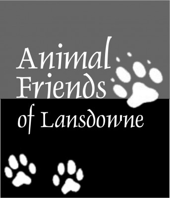 Animal Friends Of Lansdowne - Pet Shelter and Rescue in Lansdowne, Pennsylvania