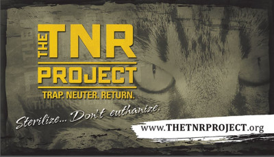 The TNR Project - Pet Shelter and Rescue in Monrovia, California