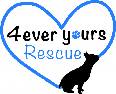 4ever Yours Rescue Inc. - Pet Shelter and Rescue in Georgetown, California