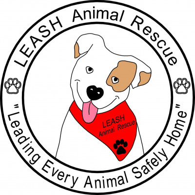 LEASH Animal Rescue - Pet Shelter and Rescue in Downey, California