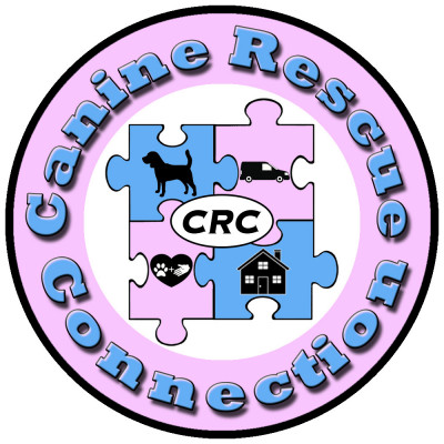 Canine Rescue Connection - Pet Shelter and Rescue in Bell Canyon, California