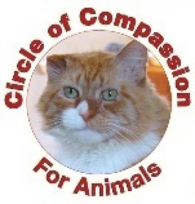 Paws And Claws Society - Pet Shelter and Rescue