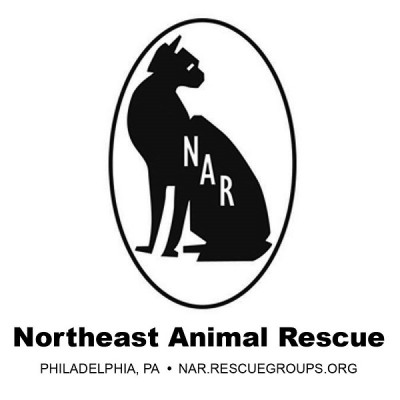Northeast Animal Rescue - Pet Shelter and Rescue in Philadelphia, Pennsylvania