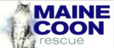 CO - Maine Coon Rescue (MCR) - Pet Shelter and Rescue in Colorado Springs, Colorado
