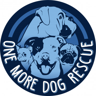 One More Dog Rescue (Formerly Ruff Start Happy Tails) - Pet Shelter and Rescue in Torrington, Connecticut