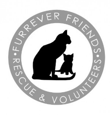 Furrever Friends Rescue & Volunteers, Inc. - Pet Shelter and Rescue in Woodbury, New Jersey