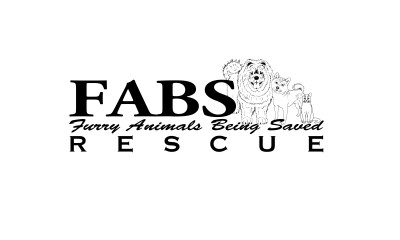 Furry Animals Being Saved Rescue - Pet Shelter and Rescue in Manchester, Connecticut