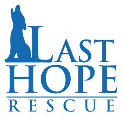 Last Hope Rescue, Inc - Pet Shelter and Rescue in Tallahassee, Florida