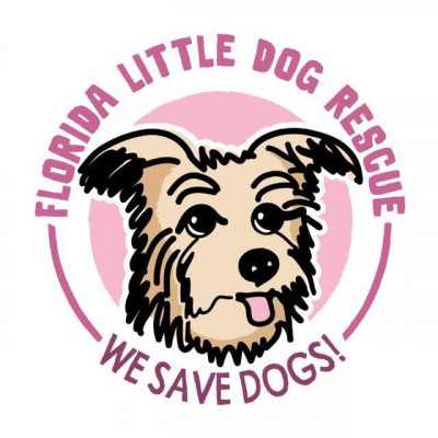 Florida Little Dog Rescue - Pet Shelter and Rescue in Alafaya, Florida