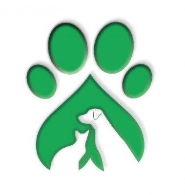 Wonder Paws Rescue - Pet Shelter and Rescue in Fort Lauderdale, Florida