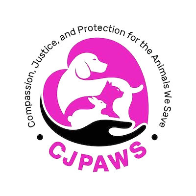 CJPaws, Inc. - Pet Shelter and Rescue in St. Petersburg, Florida