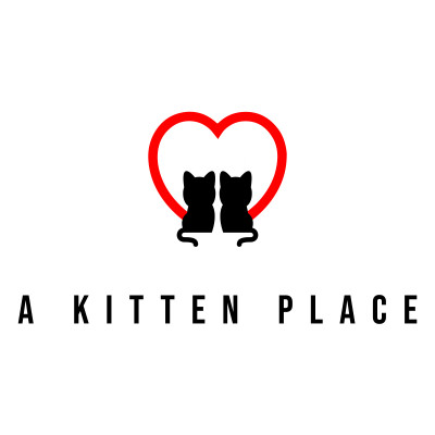 A Kitten Place - Pet Shelter and Rescue in Brandon, Florida
