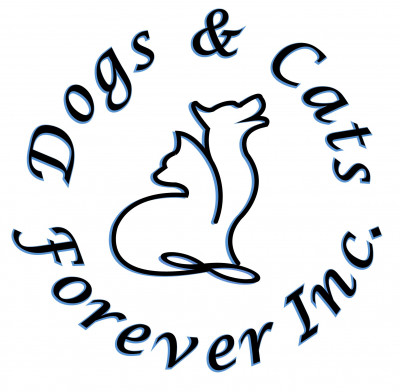 Dogs And Cats Forever, Inc. - Pet Shelter and Rescue in Fort Pierce, Florida
