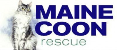 FL - Maine Coon Rescue - Pet Shelter and Rescue in West Milford, New Jersey