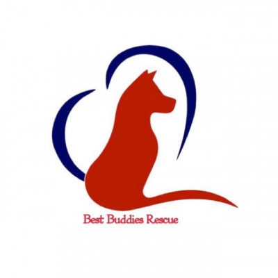 Best Buddies Rescue, Inc. - Pet Shelter and Rescue in Martinez, Georgia