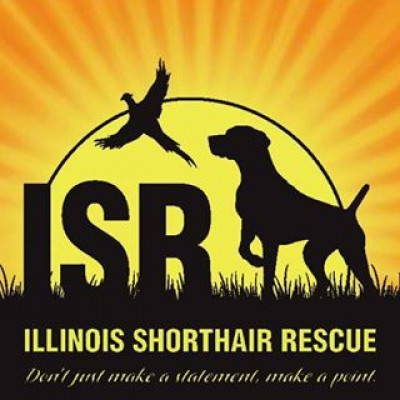 Illinois Shorthair Rescue - Pet Shelter and Rescue