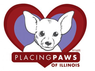 Placing Paws Of Illinois - Pet Shelter and Rescue in Libertyville, Illinois