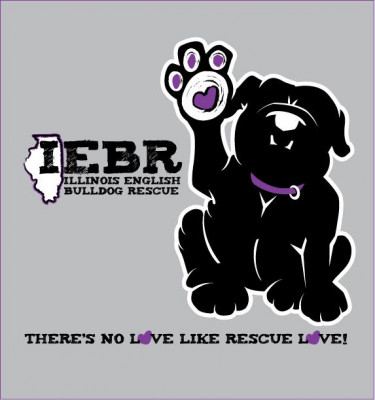 Illinois English Bulldog Rescue - Pet Shelter and Rescue in Decatur, Illinois