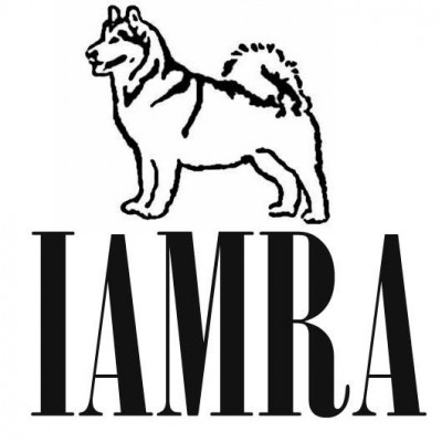 Illinois Alaskan Malamute Rescue Association - Pet Shelter and Rescue in Mount Prospect, Illinois