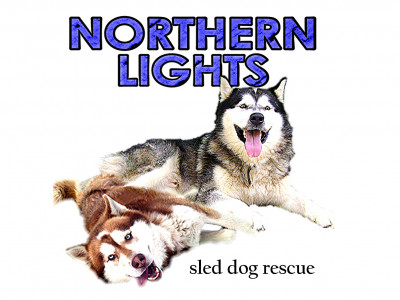 Northern Lights Sled Dog Rescue: Siberian Husky - Alaskan Malamute - Pet Shelter and Rescue in Indianapolis, Indiana