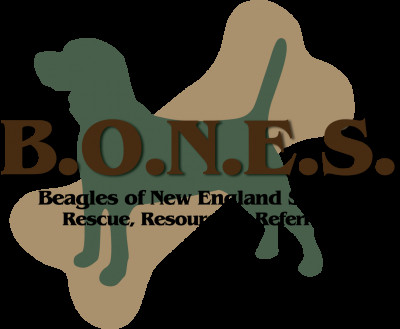 Beagles Of New England States Inc. (B.O.N.E.S.), Inc. - Pet Shelter and Rescue in New Boston, New Hampshire