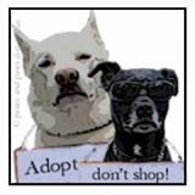 Peace And Paws - Pet Shelter and Rescue in Manchester, New Hampshire