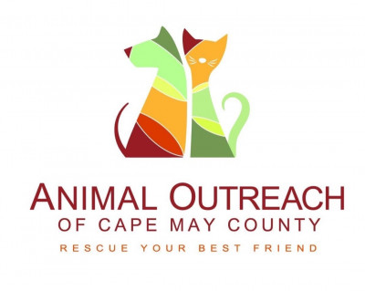 Animal Outreach Of Cape May County Inc. - Pet Shelter and Rescue in Cape May, New Jersey