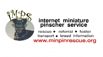 IMPS - Internet Miniature Pinscher Services Inc. -NJ/ PA Region - Pet Shelter and Rescue in Franklin, New Jersey