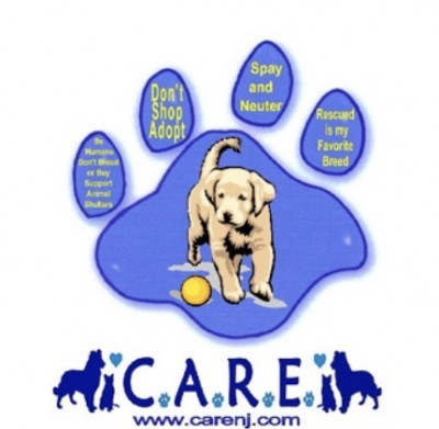 C.A.R.E. Companion Animal Rescue & Education - Pet Shelter and Rescue
