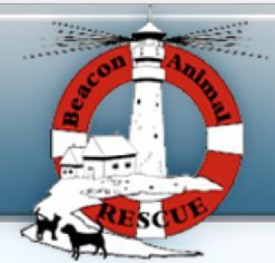 Beacon Animal Rescue - Pet Shelter and Rescue in Upper Township, New Jersey