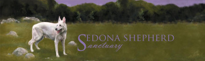 Sedona Shepherd Sanctuary - Pet Shelter and Rescue in Millburn, New Jersey