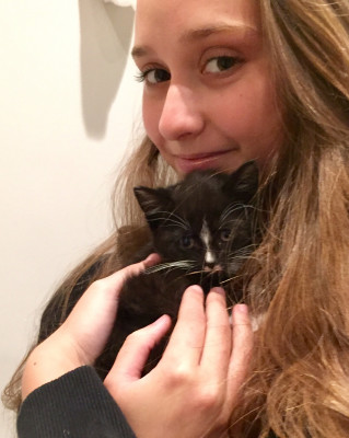 Sammyvale Animal Sanctuary - Pet Shelter and Rescue in Montclair, New Jersey