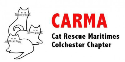 Wayward Cats Society - Pet Shelter and Rescue in Truro, Nova Scotia