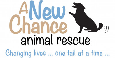 A New Chance Animal Rescue - Pet Shelter and Rescue in Bedford Hills, New York