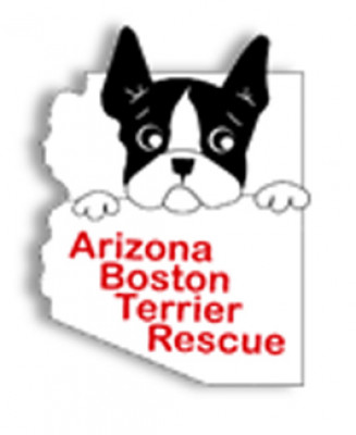 Arizona Boston Terrier Rescue - Pet Shelter and Rescue in Scottsdale, Arizona