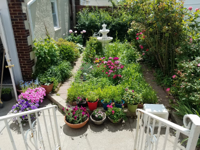 Forever Animal Rescue Inc. - Pet Shelter and Rescue