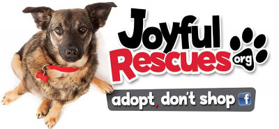 Joyful Rescues - Pet Shelter and Rescue in Cuba, New York